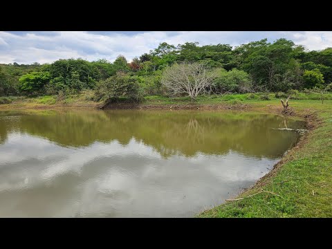 Chácaras de 20.000m no Lago Corumbá IV em Alexânia Goiás no boleto (61) 99456-6311 
