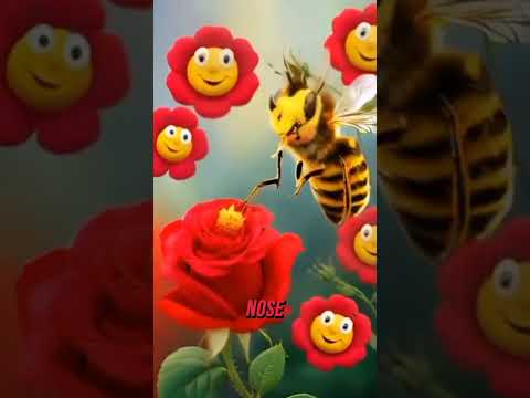 Buzzy the bumblebee | Baby Poem | Rhymes for kids and Toddlers | Baby songs