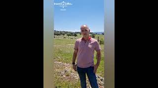 Pablo Montesdeoca franquicia  Pasto y Bellota Arucas, vista ganadería Vara del Rey.