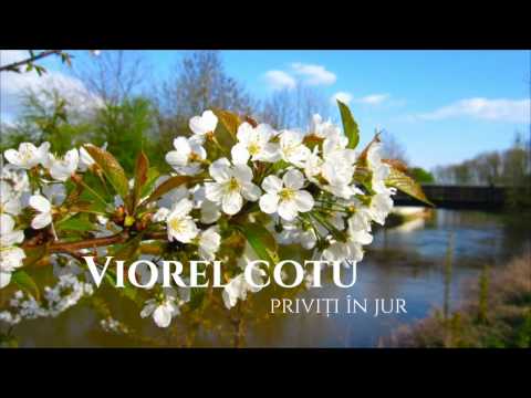 Viorel Cotu | Priviti in jur