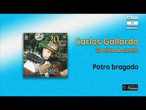 Carlos Gallardo / 20 Años de Cantor - Potro bragado