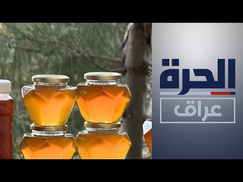 شاهد بالفيديو.. عسل كردستان مهدد بسبب الوضع الأمني