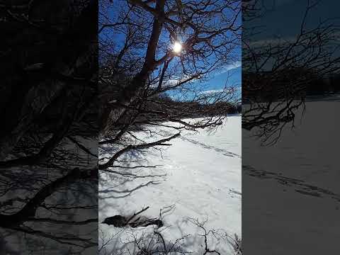 Es MAGIA: El mismo lugar pero SIEMPRE diferente #invierno 2026 #short #trekking #argentina #laguna