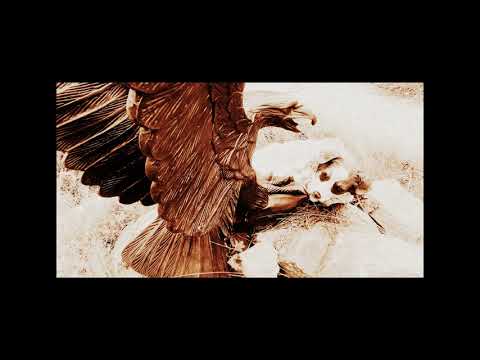 Zzubp - zZuBp - RogViru