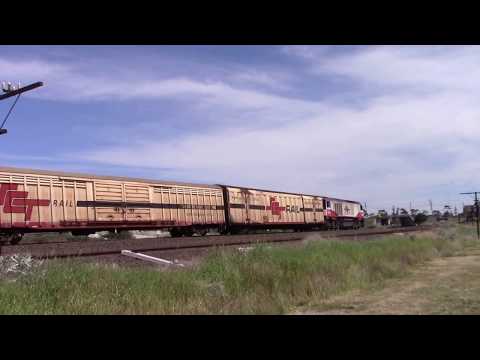 CSR004 on SCT Wagon Transfer near Albion