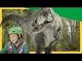 Meat Eating Dinosaurs In Action Will Dan Become Dinosaur Dinner DinoKids