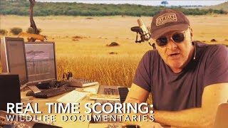 How to Write Music For Documentaries: Wildlife