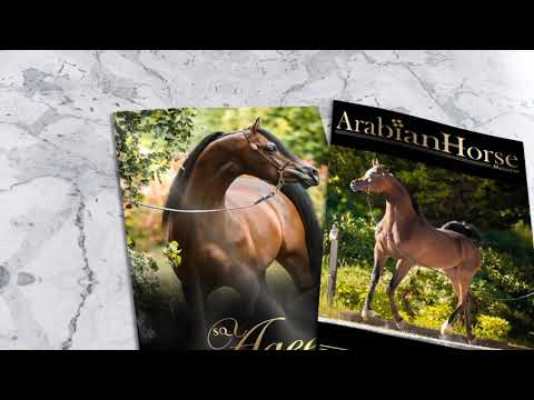 Arabian Horse Magazine | Video Promo N3_2021 Autumn Edition