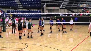preview picture of video 'Lake Ridge HS Varsity Volleyball vs Summit HS 3'