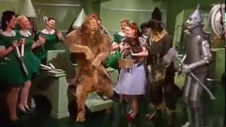 Wizard of Oz Wash and Brush