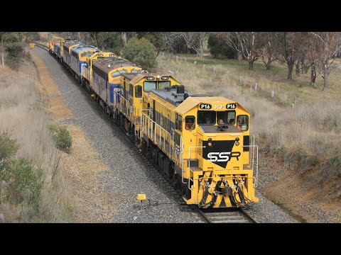 ICONIC VICTORIAN RAILWAYS DIESELS, RARE TRAINS AND SPECIAL LIVERIES - RARE TRAINS ACROSS VICTORIA
