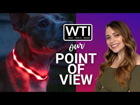 Blazin LED Dog Collars - WTI product video review