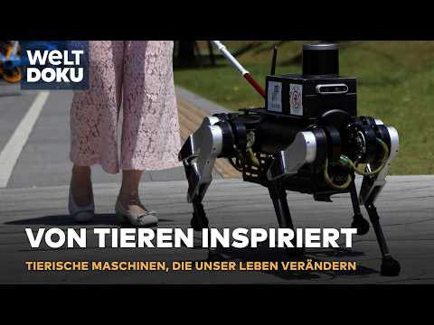BIONIK: Tierisch gute Technik - Maschinen nach dem Vorbild der Natur | MARVELLOUS MACHINES S01E05