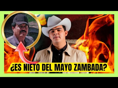 The BIG PROBLEM with Panter Belico