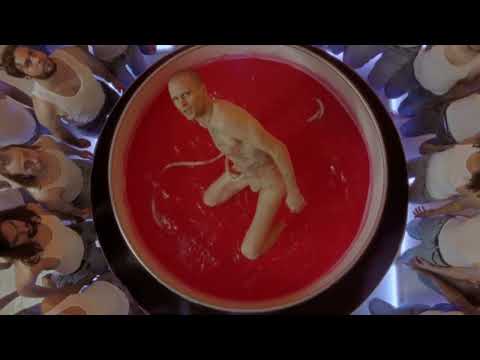 JMSN - Feel Like A Woman (Official Video)