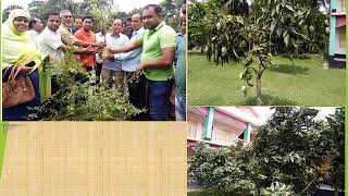 এসডিজি লক্ষ্যমাত্রা অর্জনের লক্ষে বাংলাদেশের প্রথম সবুজ ইউনিয়ন হিসেবে রুদাঘরা ইউনিয়নের উপর প্রেজেনটেশন