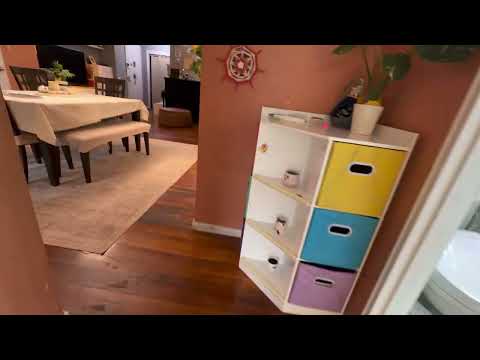 video 1