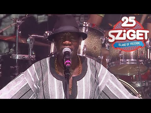 Mokoomba LIVE @ Sziget 2017 [Full Concert]