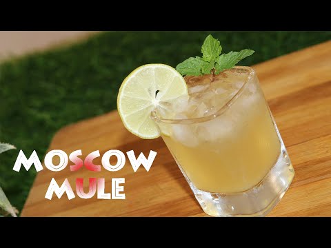 Moscow Mule: Absolut Vodka Cocktail