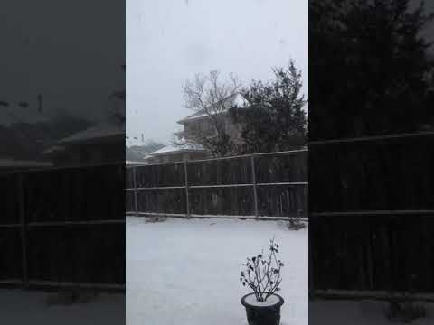 Snow in Fort Worth,Taxes 02/14/2021