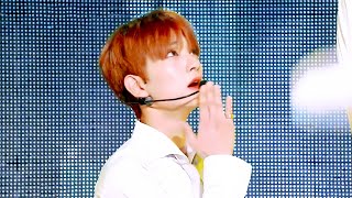 세븐틴(SEVENTEEN) - Crazy in Love 교차편집 (Stage Mix)