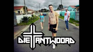 Die Antwoord - In Your Face