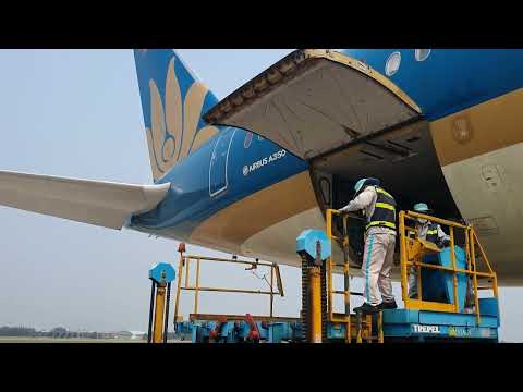 Tâm sự nghề bốc xếp