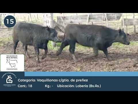 Lote VQ CGP - Lobería Bs As