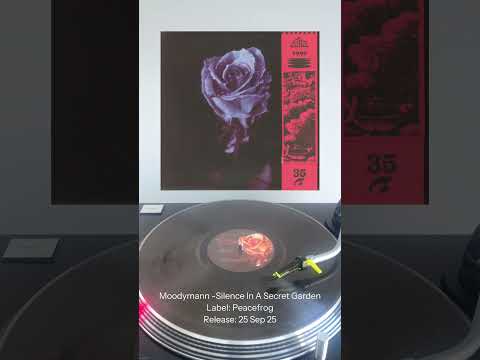 Moodymann - Silence In The Secret Garden (reissue) - Video Review