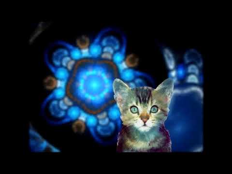 AS MELHORES Tech house 2019 #StanKolev #BartSkils #StefanoPini #Horatio