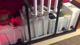 Seamless Sump from Custom Aquariums