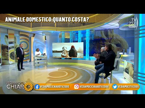 Vediamoci Chiaro, 24 novembre 2022 - Animale domestico, quanto costa?