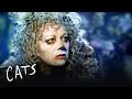 Grizabella the Glamour Cat | Cats the Musical