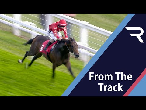 Liverpool stars score with Derby Wild Card winner Mr McCann - Racing TV