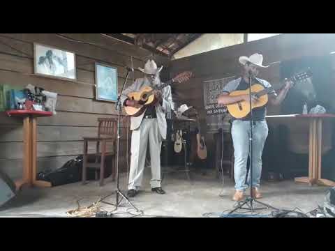 Piauy é William viola