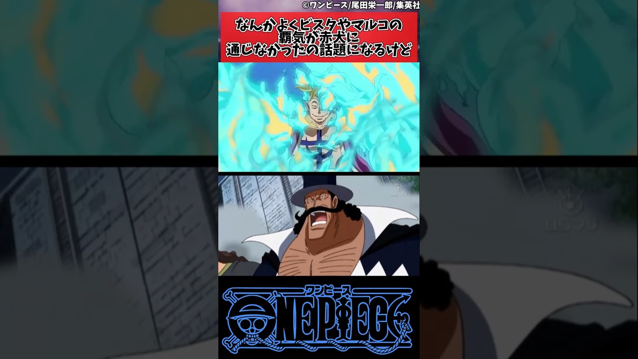 【ワンピース】なんかよくビスタやマルコの覇気が赤犬に通じなかったの話題になるけど#shorts