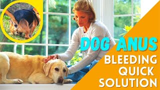 Home Remedies for Dog