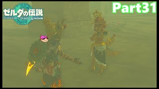 【31】ぼっち勇者の天空探検【ゼルダの伝説ティアーズオブザキングダム】