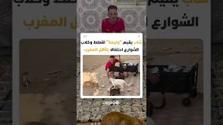 شاب مغربي يحول فرحة تأهل المنتخب الوطني إلى وليمة إنسانية لعشرات القطط والكلاب الضالة thumbnail