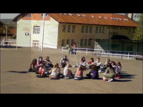 Gimnazija, Vlasotince