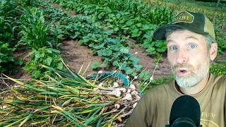 Going from One Crop to Another + What Makes a Crop “Profitable” (or Worth Growing)