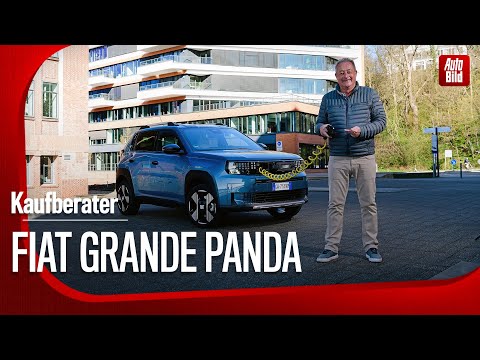 FIAT GRANDE PANDA (2025) | The electric crossover in the buyer's guide (design, drive, equipment)