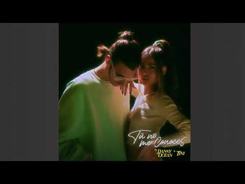 Danny Ocean x TINI - Tú no me conoces (Audio Oficial Visualizer)