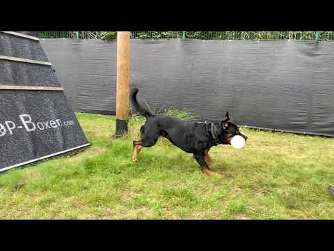 Egon vom schwarzen Grat