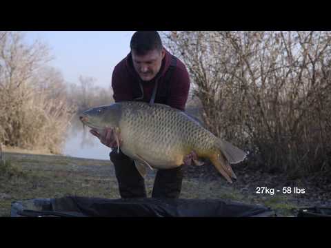 CARP FISHING - MASSIVE ITALIAN COMMON CARP IN WINTER  - Rob Hughes