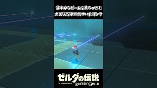 祠のビームを食らっても大丈夫なリンクｗｗ【ゼルダの伝説 ブレス オブ ザ ワイルド】