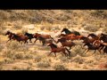 Wild Horses ~ The Rolling Stones (Susan Boyle ...