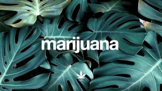Angus and Julia Stone – Black Crow
