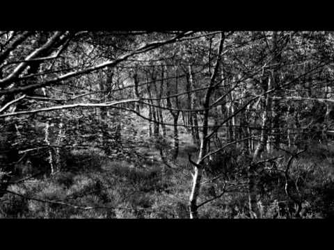 Burzum: Depressive visions of the cursed warrior