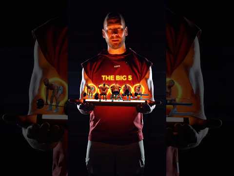 Top 5 exercises for an Aesthetic Back